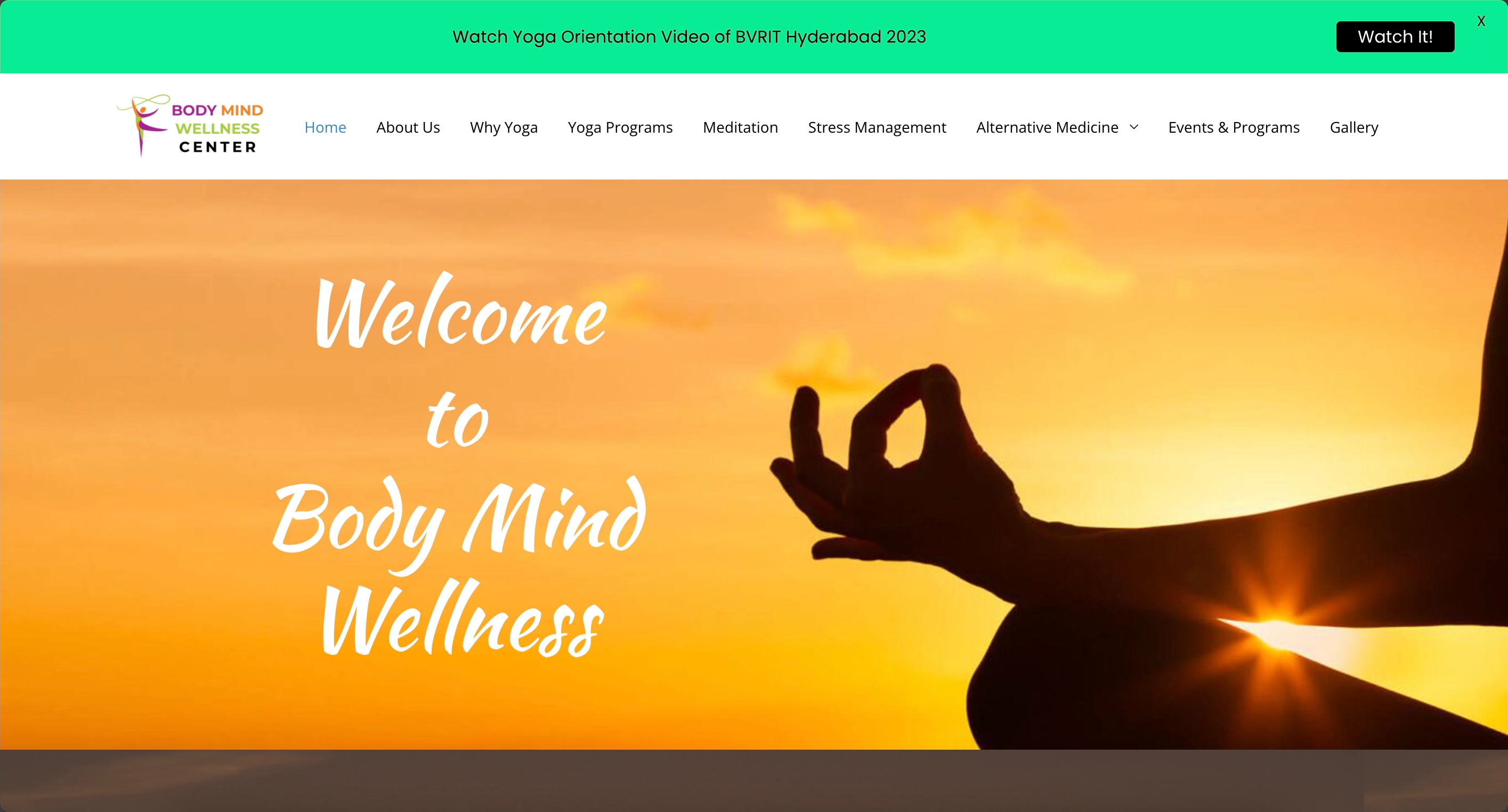 Vishnu Wellness Healthcare Platform